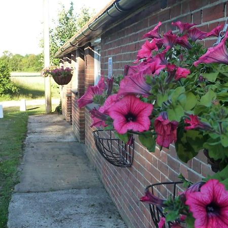 チチェスター Lockgate Dairy Bed & Breakfast エクステリア 写真